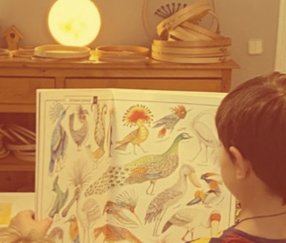 Taller semanal de arte para niño/as - Imagen 4