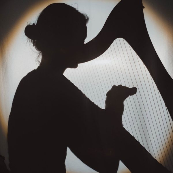 ART ENCOUNTER - Arpa y Sombras