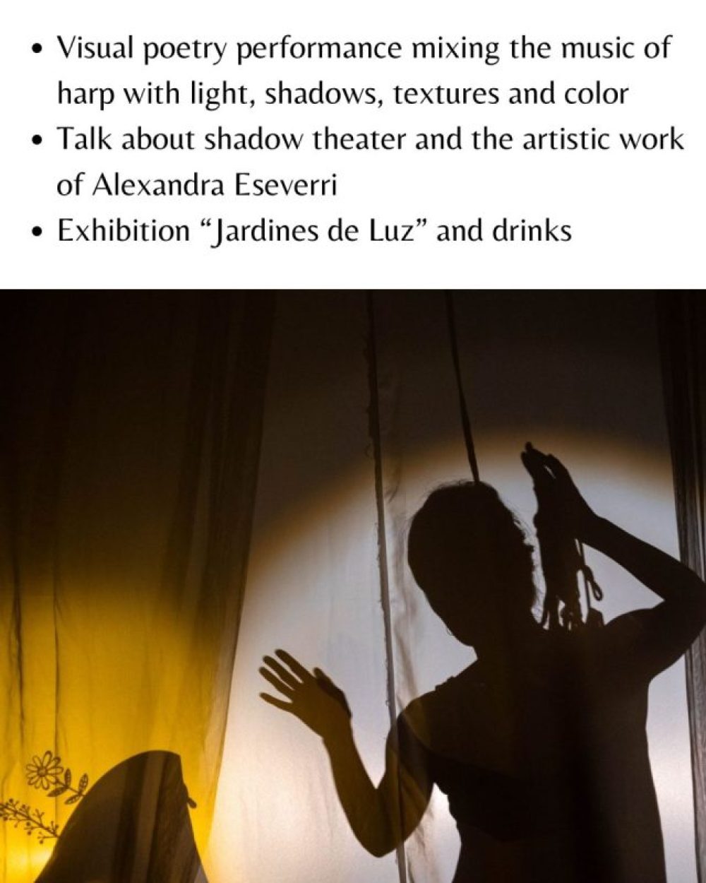 ART ENCOUNTER - Arpa y Sombras - Imagen 2